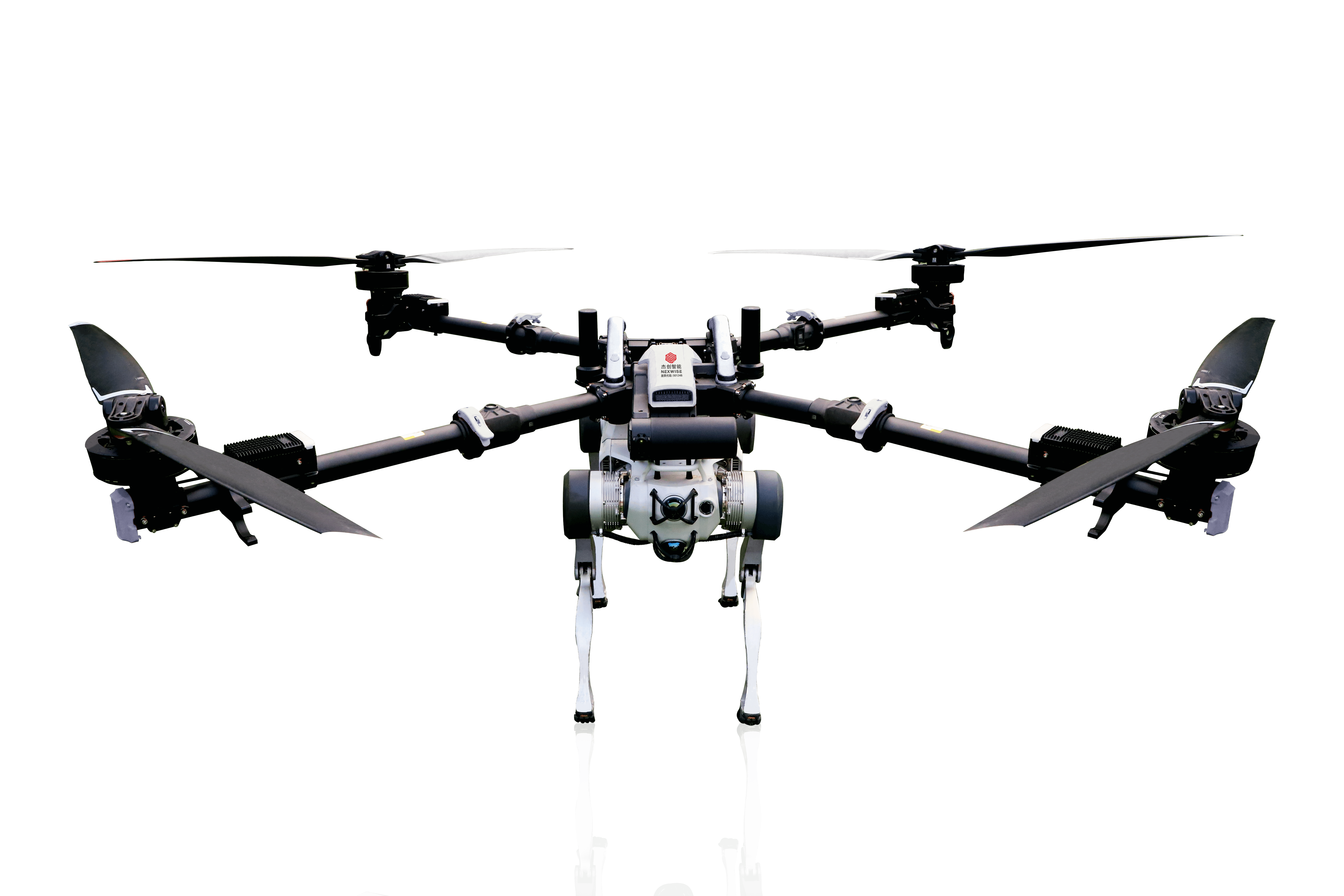 ·ÉÌì»úе¹·Pro ¡°bb±´²©Öйú¹ÙÍøÏøÌìÈ®¡±